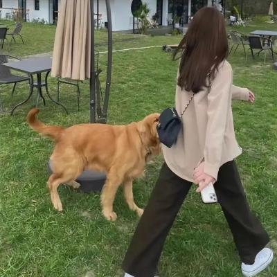 我是阿里